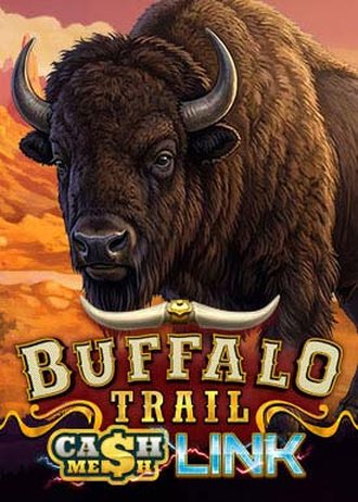Okładka gry Buffalo Trail Cash Mesh Link